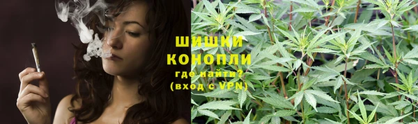 бошки Козловка
