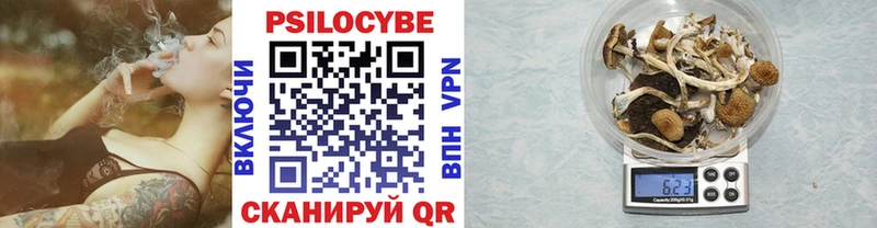 Купить  Артёмовский  Псилоцибиновые грибы ЛСД 